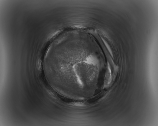 X0000083560692200703021719