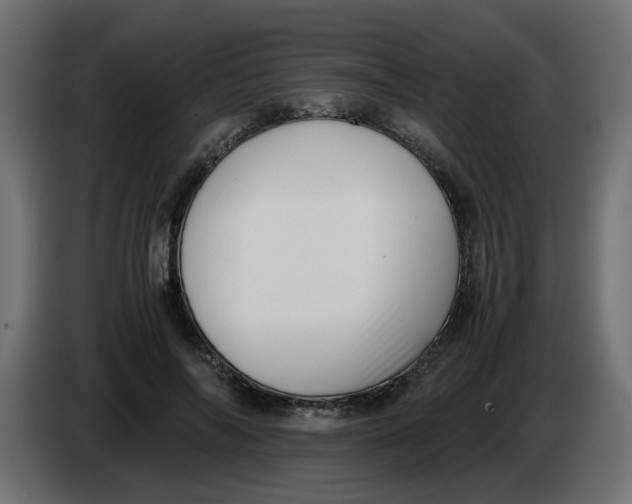 X0000083560694200703021719