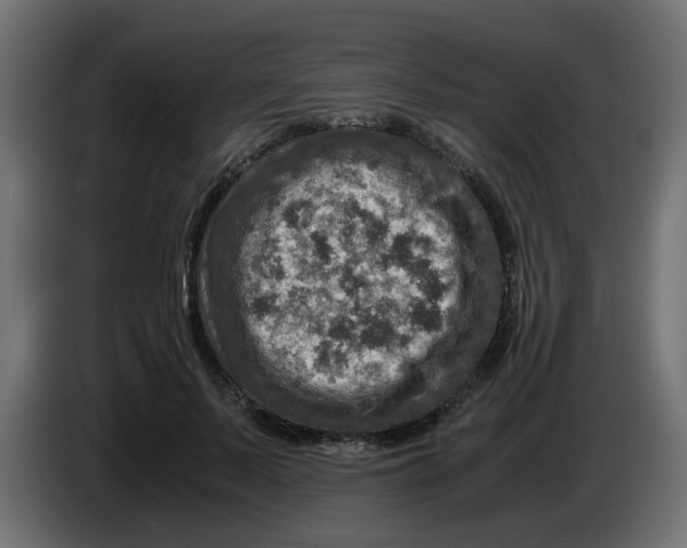 X0000083560695200703021719