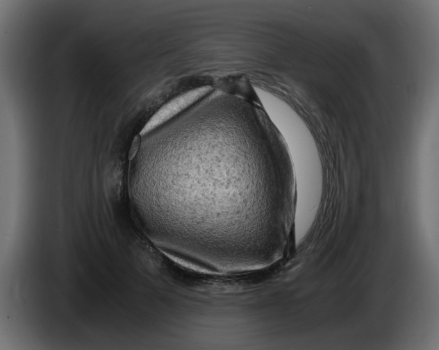 X0000083560697200703021719