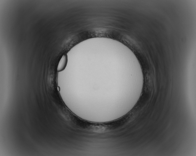 X0000083560698200703021719