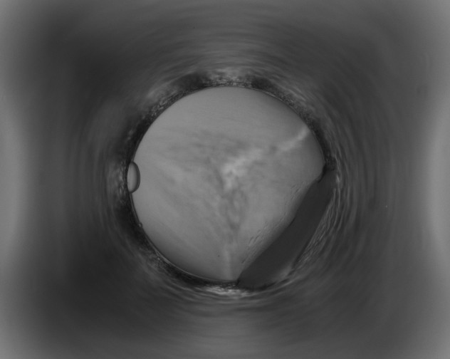 X0000083560699200703021719