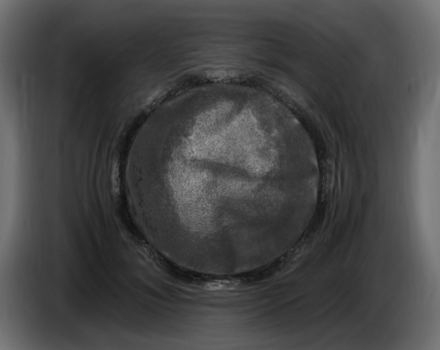 X0000083560700200703021719