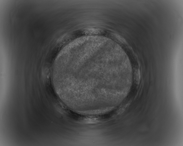 X0000083560701200703021719