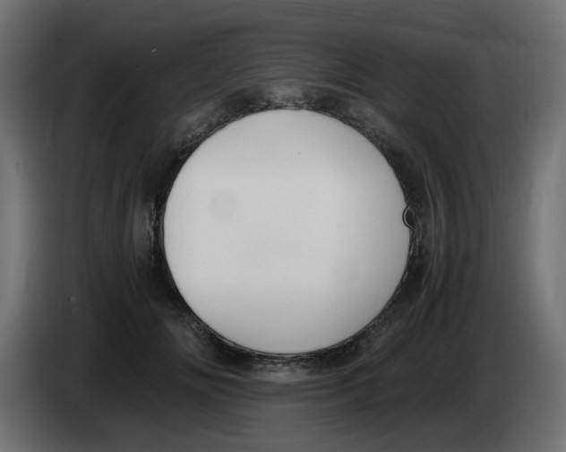 X0000083560702200703021719