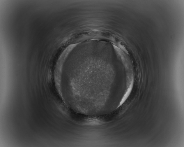 X0000083560704200703021718