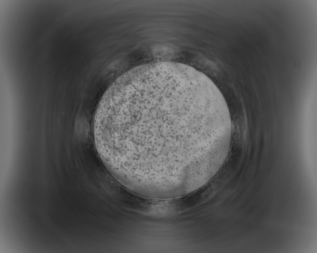 X0000083560705200703021718