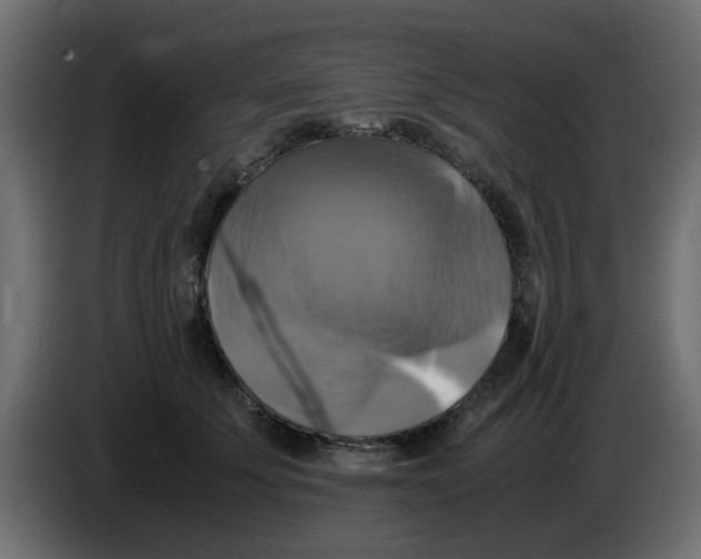 X0000083560707200703021718