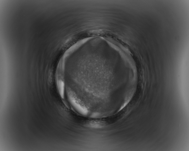 X0000083560708200703021718