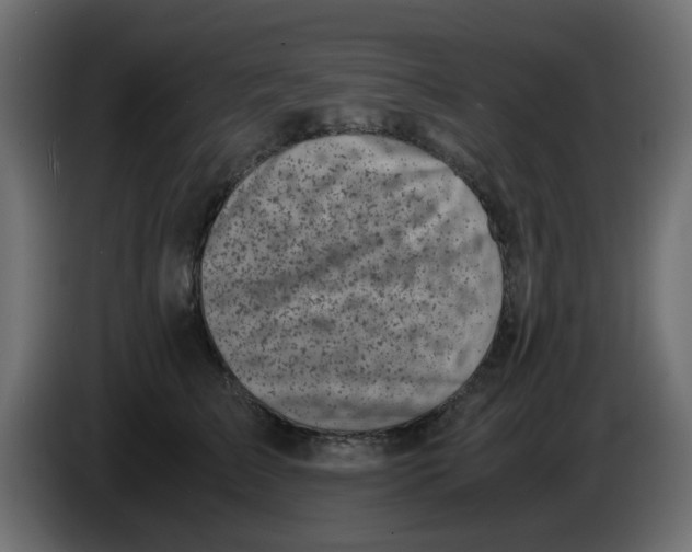 X0000083560709200703021718