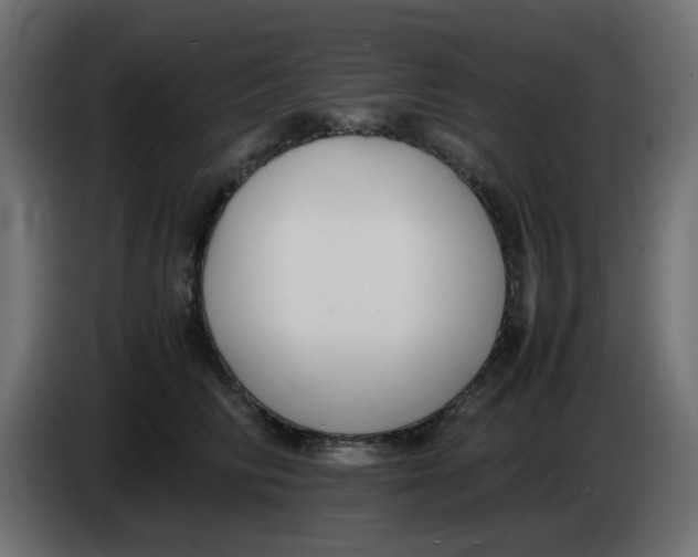 X0000083560710200703021718