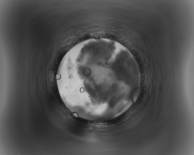 X0000083560711200703021718