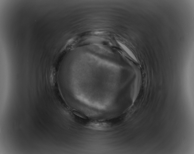 X0000083560712200703021718