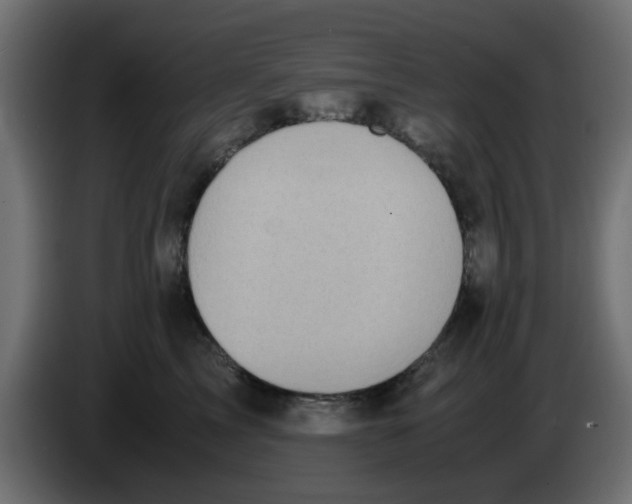 X0000083560713200703021718