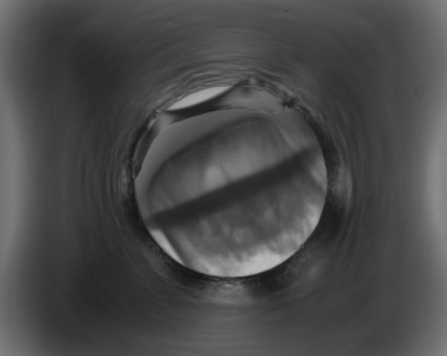 X0000083560715200703021718