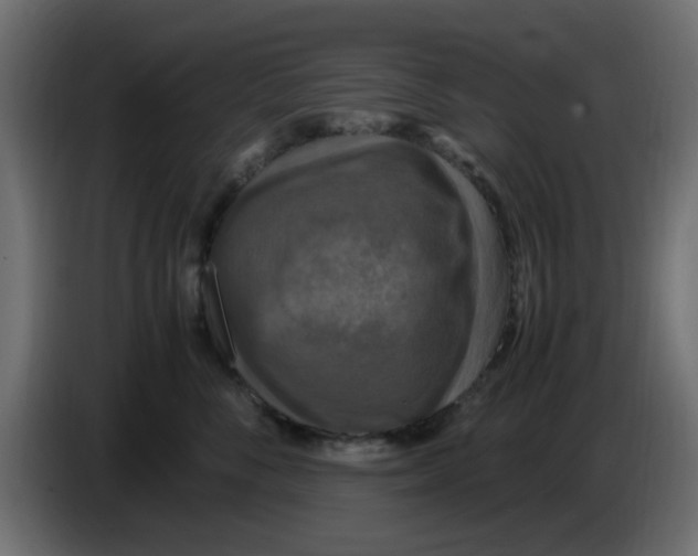 X0000083560716200703021718