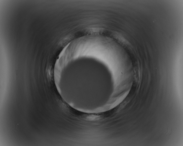 X0000083560718200703021718