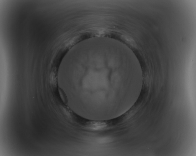 X0000083560719200703021718