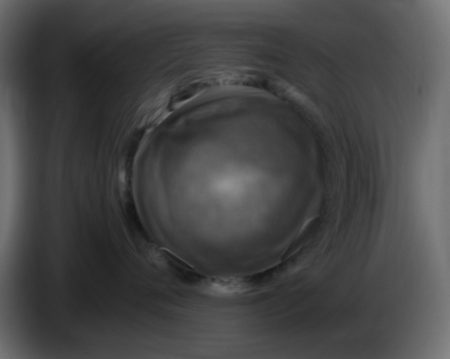 X0000083560720200703021718