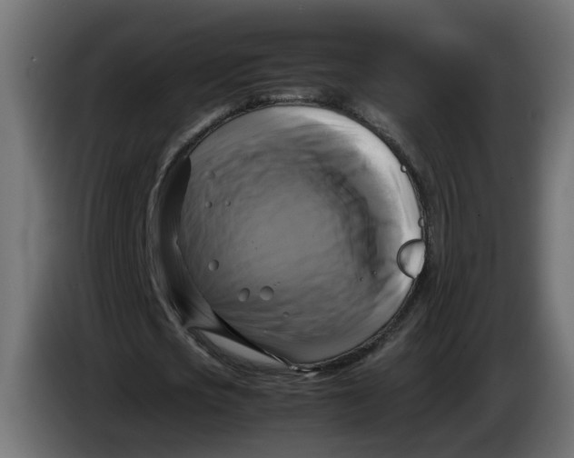 X0000083560721200703021717