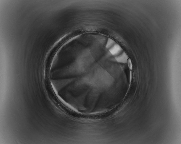 X0000083560722200703021717