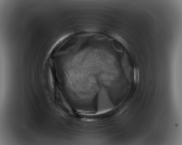 X0000083560723200703021717