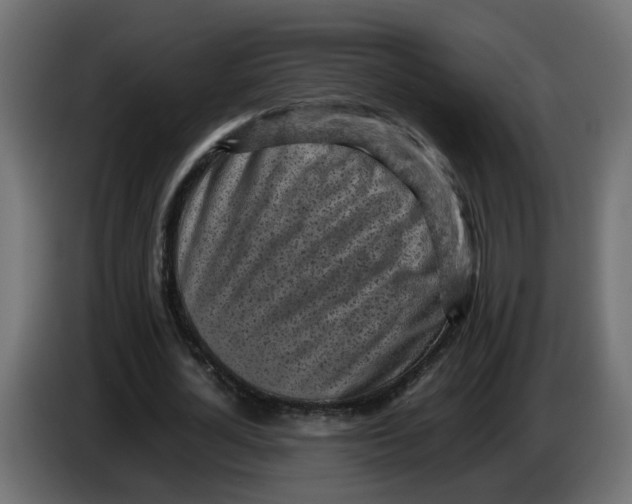 X0000083560724200703021717