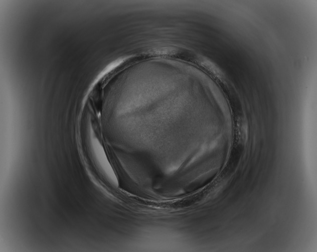 X0000083560726200703021717