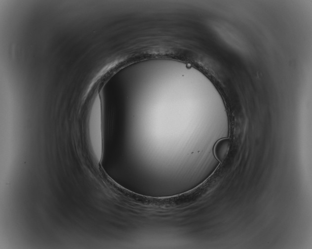 X0000083560727200703021717