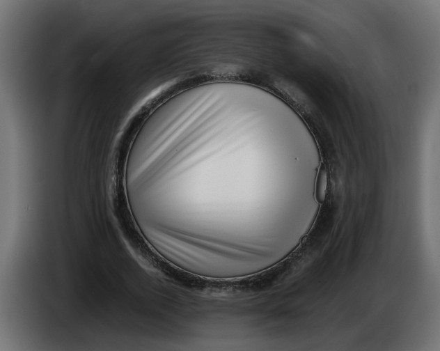 X0000083560728200703021718