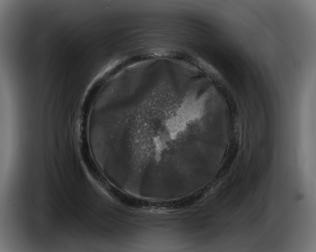 X0000083560730200703021718