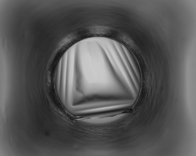 X0000083560731200703021718