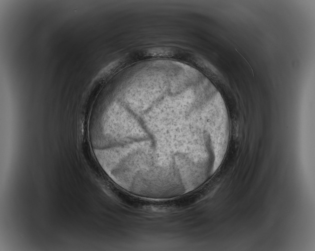 X0000083560733200703021718