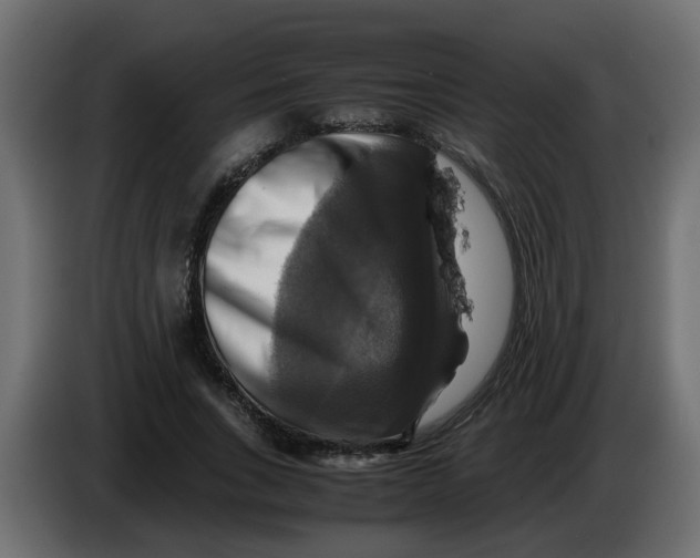 X0000083560735200703021718