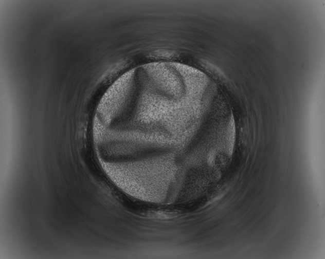 X0000083560739200703021718