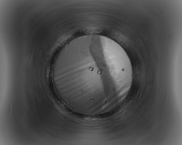 X0000083560742200703021718