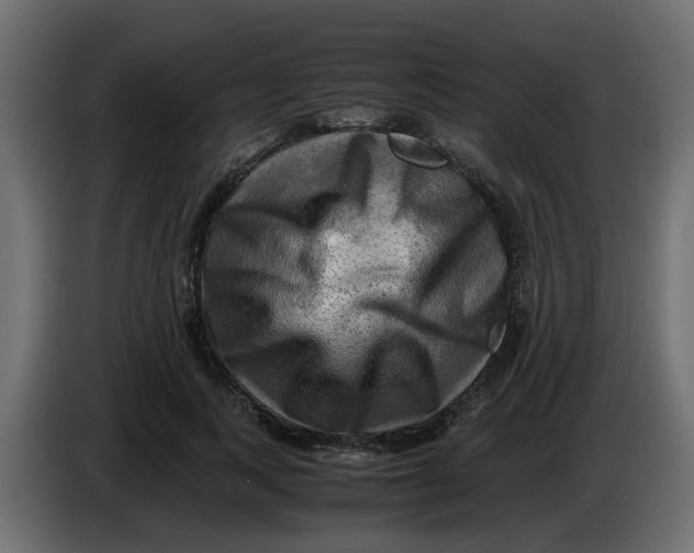 X0000083560743200703021718