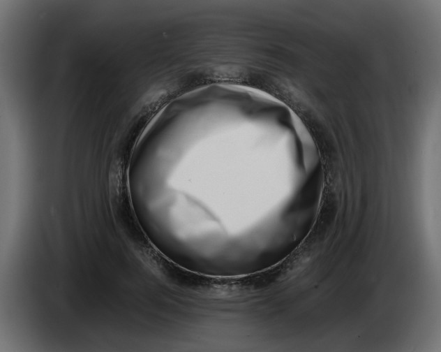 X0000083560744200703021718