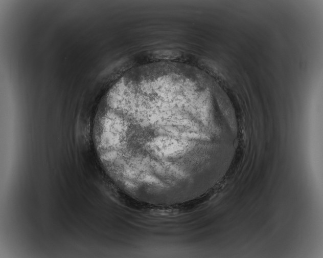 X0000083560745200703021718