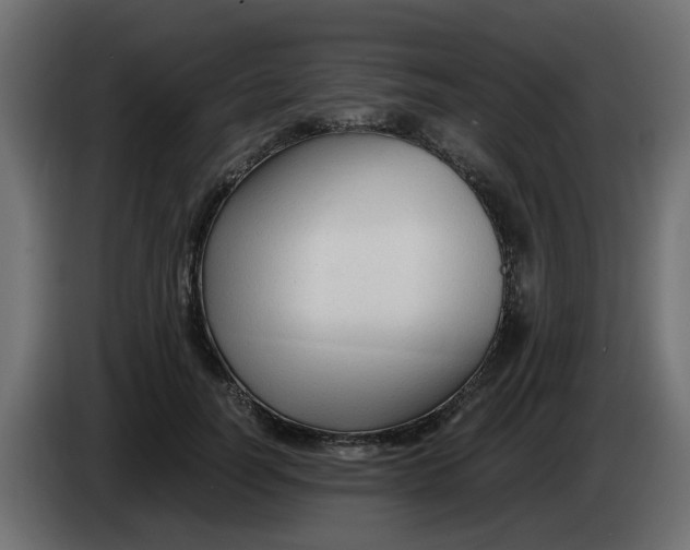 X0000083560746200703021718