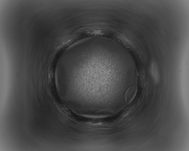 X0000083560747200703021718