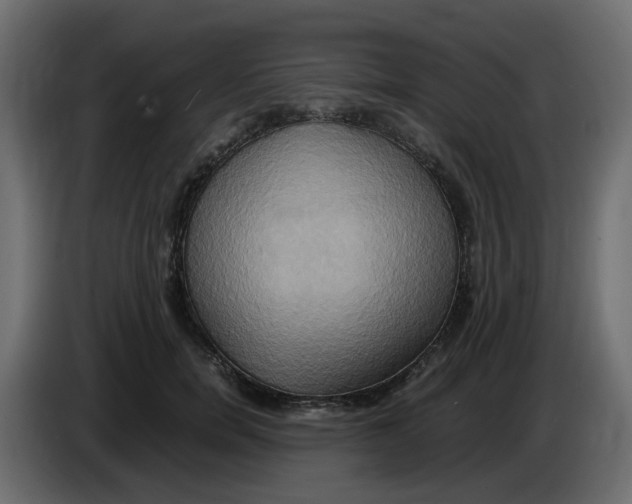 X0000083560750200703021718