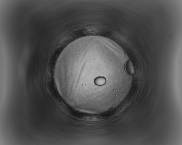 X0000083560751200703021718