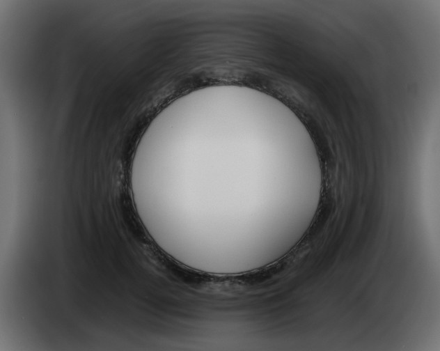 X0000083560752200703021718