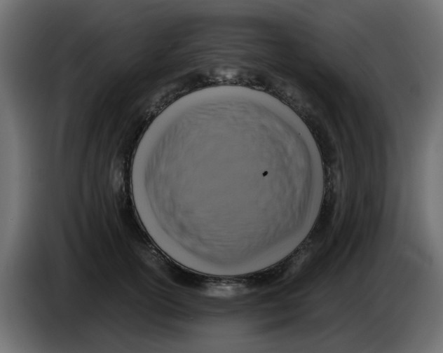 X0000083560754200703021718