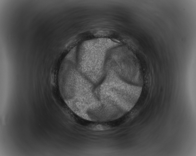 X0000083560755200703021718