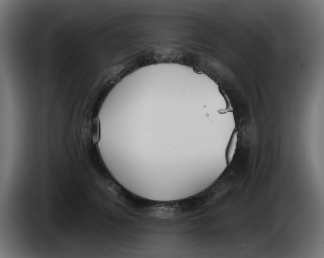 X0000083560756200703021718