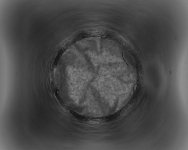 X0000083560757200703021718