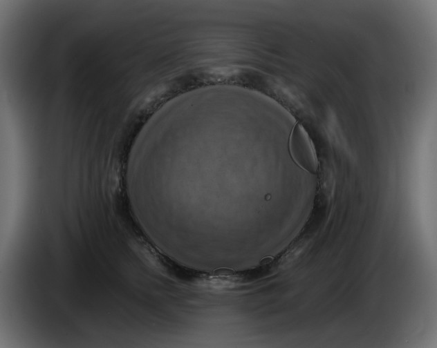 X0000083560758200703021718