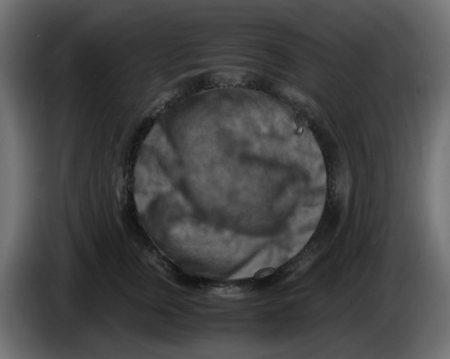 X0000083560759200703021718